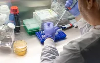 Chính phủ Anh tài trợ công tác thử nghiệm vaccine ngừa virus SARS-CoV-2 trên người