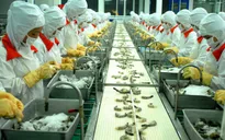 Nhật Bản: Kêu gọi giữ biển hiệu "cộng sinh với người nước ngoài” khi thất nghiệp gia tăng