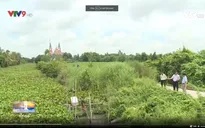 Dân kêu trời vì kênh thủy lợi tắc nghẽn