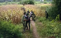 Nhức nhối nạn mua bán người