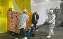 Vải thiều Việt xuất đi Nhật Bản bán giá bao nhiêu?