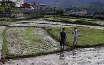 Thảm án ở Điện Biên, 3 người tử vong với nhiều thương tích