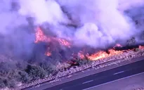 Mỹ: Hàng nghìn người sơ tán do cháy rừng lan rộng tại bang Arizona
