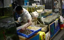 Tái bùng phát dịch COVID-19 tại Bắc Kinh: Hồi chuông cảnh báo về nới lỏng giãn cách