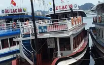 Đình chỉ thêm 1 tàu du lịch ở Hạ Long vì "chặt chém" du khách