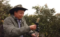 Nông dân Trung Quốc đổi đời nhờ livestream, thương mại điện tử nông thôn bùng nổ