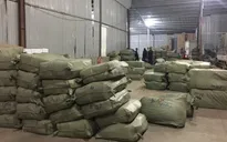 Tạm giữ lô hàng hơn 100 tấn dược liệu làm thuốc bắc nhập khẩu trái phép