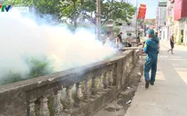 Nguy cơ bùng phát sốt xuất huyết tại ngoại thành Hà Nội
