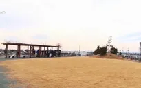 "Núi sinh mệnh": Biểu tượng chống chọi thiên tai ở Nhật