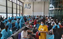 Đưa 343 công dân Việt Nam từ Đài Loan về nước