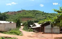 Chuyển bé trai mắc bạch hầu nguy kịch ở Đắk Nông về TP.HCM điều trị
