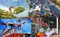 WB: Việt Nam cần sớm đổi mới 4.0 để có thể tạo nên “kỳ tích sông Hồng”