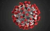Tây Ban Nha: Phát hiện dấu vết virus SARS-CoV-2 trong nước thải từ tháng 3/2019