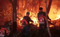 Khởi tố hình sự và xử lý hành chính 8 vụ cháy rừng