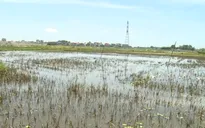 10 năm dang dở dự án thủy lợi gần 10 tỷ đồng: Vướng mắc ở đâu?