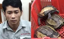 Tạm giữ đối tượng buôn bán rùa quý hiếm tại Hà Nội