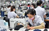 Bloomberg: Kinh tế Việt Nam tăng trưởng vượt dự báo bất chấp COVID-19