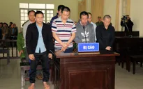 "Đầu độc" 10 ha rừng thông để chiếm đất, 7 "lâm tặc" lãnh án tù
