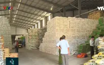 Phát hiện nhiều vi phạm trong kinh doanh phân bón