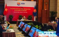 Hội nghị Bộ trưởng Kinh tế ASEAN+3: Gắn kết và chủ động thích ứng nhằm đối phó với dịch COVID-19