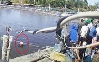 Khởi tố, bắt tạm giam thêm 6 đối tượng liên quan vụ dàn cảnh trộm tôm "siêu" tinh vi