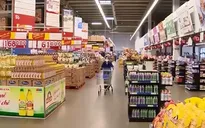 Những động lực tăng trưởng kinh tế dần được phục hồi