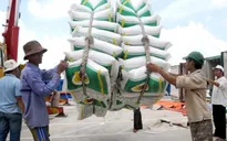 Cam kết xóa bỏ thuế nhập khẩu của EU trong Hiệp định EVFTA