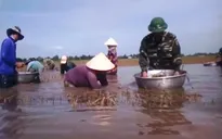 Bộ đội Biên phòng: Điểm tựa tin cậy của người dân vùng biên