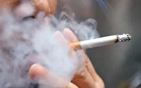 Không chỉ gây bệnh ở phổi, hút thuốc lá còn ảnh hưởng tim mạch, sinh sản