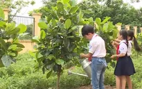 Quỹ 1 triệu cây xanh cho Việt Nam sắp chạm đích