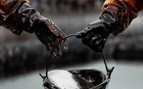 Nga “bắt tay” OPEC, giá dầu chuẩn bị bật tăng?