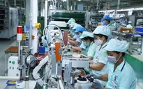 Bộ Chính trị kết luận chưa tăng lương cơ sở từ 1/7/2020