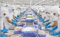 Đấu giá cổ phần: Dấu mốc quan trọng của chặng đường phát triển thị trường chứng khoán