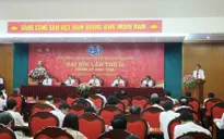 Ban Nội chính Trung ương tham gia xử lý 120 vụ án tham nhũng, kinh tế nghiêm trọng
