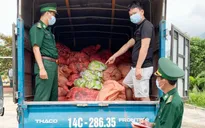 1,5 tấn chân gà sơ chế tại Việt Nam, dán bao bì Trung Quốc để xuất lậu