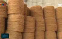 Cơ hội của sợi chỉ dừa khi EVFTA được thông qua