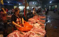 Cung cầu gặp nhau, giá thịt lợn sẽ có mặt bằng giá mới