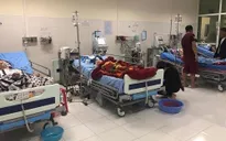 Ăn nhầm lá ngón, 5 người thương vong
