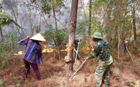 Cháy rừng liên tục ở Nghệ An: Vấn đề từ ý thức đến phòng cháy