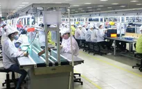 Dịch COVID-19 kéo dài: Lao động có sẵn sàng giảm thu nhập để giữ việc?