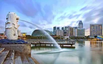 Việc làm trong lĩnh vực công nghệ "lên ngôi" tại Singapore