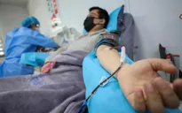 Hy hữu: Bệnh nhân bị truyền máu của người hiến mắc COVID-19