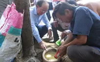 Phú Yên: 1 trường hợp tử vong vì sốt xuất huyết