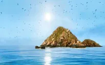 Vị ngọt kết tinh từ yến đảo