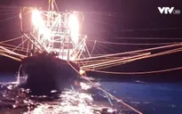 Tàu câu mực của ngư dân bị tàu hàng đâm chìm trên biển