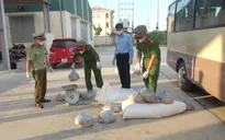 Thanh Hóa: Bắt giữ xe ô tô vận chuyển hơn nửa tấn thịt lợn đã bốc mùi ôi thiu