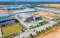 Kinh tế miền Trung: Khi mỗi "con sếu" đầu đàn đang bay về một hướng