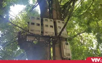 Tin nóng đầu ngày 17/7: Xem xét kỷ luật cán bộ vụ tiền điện tăng bất thường vì đấu nhầm công tơ
