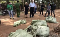 Công ty chôn lấp chất thải nguy hại trái phép, lãnh đạo nói không biết