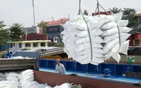 Giá gạo xuất khẩu Việt Nam vượt Thái Lan